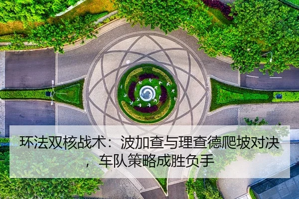 huan-fa-shuang-he-zhan-shu-bo-jia-cha-yu-li-cha-de-pa-po-dui-jue-che-dui-ce-lve-cheng-sheng-fu-shou-2-802.jpg