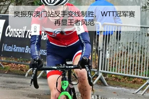 樊振东澳门站反手变线制胜，WTT冠军赛再显王者风范