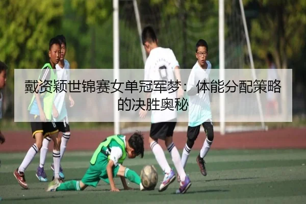 戴资颖世锦赛女单冠军梦：体能分配策略的决胜奥秘