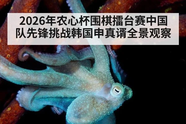 2026年农心杯围棋擂台赛中国队先锋挑战韩国申真谞全景观察